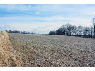 Property photo 7 - REAL ESTATE AUCTION - 17.62+/- ACRES OFFERED IN 2 TRACTS